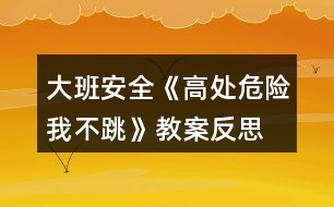 大班安全《高處危險(xiǎn)我不跳》教案反思