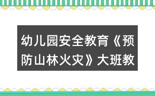 幼兒園安全教育《預防山林火災》大班教案