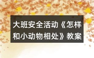 大班安全活動《怎樣和小動物相處》教案反思