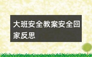 大班安全教案安全回家反思