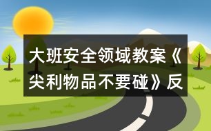 大班安全領域教案《尖利物品不要碰》反思