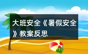 大班安全《暑假安全》教案反思