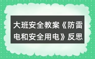 大班安全教案《防雷電和安全用電》反思