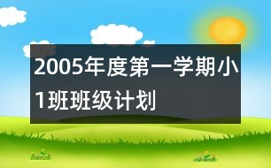 2005年度第一學(xué)期小（1）班班級(jí)計(jì)劃