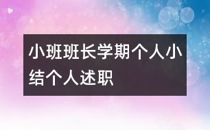 小班班長學(xué)期個人小結(jié)（個人述職）