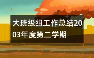 大班級(jí)組工作總結(jié)（2003年度第二學(xué)期）