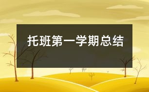 托班第一學(xué)期總結(jié)