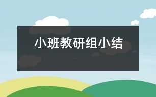 小班教研組小結(jié)