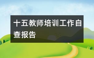 “十五”教師培訓工作自查報告