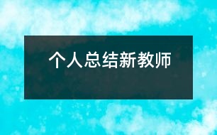 個(gè)人總結(jié)（新教師）