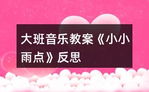 大班音樂教案《小小雨點(diǎn)》反思