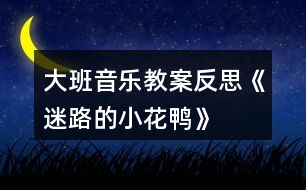 大班音樂教案反思《迷路的小花鴨》