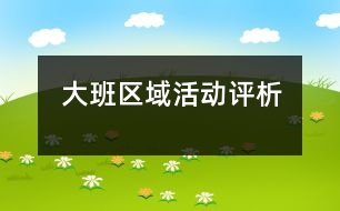 大班區(qū)域活動(dòng)評(píng)析