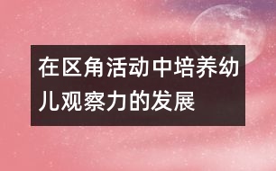 在區(qū)角活動(dòng)中培養(yǎng)幼兒觀察力的發(fā)展