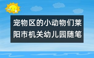 寵物區(qū)的小動(dòng)物們（萊陽市機(jī)關(guān)幼兒園隨筆一組）