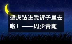 “壁虎”鉆進我褲子里去啦！――周少青隨筆兩篇