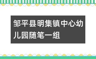 鄒平縣明集鎮(zhèn)中心幼兒園隨筆一組