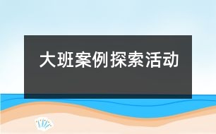 大班案例：探索活動