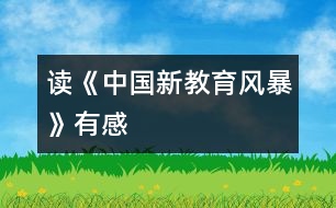 讀《中國(guó)新教育風(fēng)暴》有感