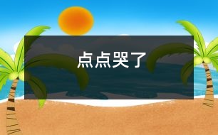 點(diǎn)點(diǎn)哭了