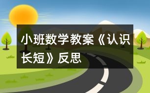 小班數(shù)學(xué)教案《認(rèn)識(shí)長(zhǎng)短》反思