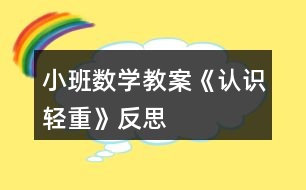 小班數(shù)學教案《認識輕重》反思