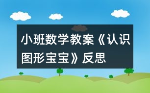 小班數(shù)學(xué)教案《認(rèn)識圖形寶寶》反思