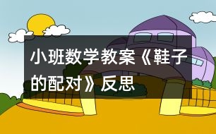 小班數(shù)學教案《鞋子的配對》反思