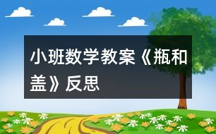 小班數(shù)學(xué)教案《瓶和蓋》反思