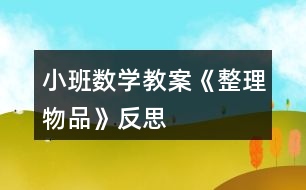 小班數學教案《整理物品》反思