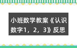 小班數(shù)學教案《認識數(shù)字1，2，3》反思