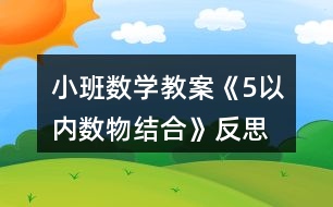 小班數(shù)學教案《5以內(nèi)數(shù)物結合》反思