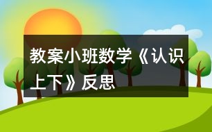 教案小班數(shù)學(xué)《認識上下》反思