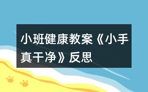 小班健康教案《小手真干凈》反思