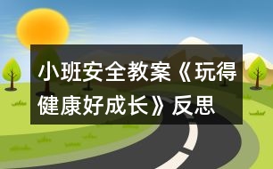 小班安全教案《玩得健康好成長》反思