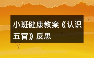 小班健康教案《認(rèn)識五官》反思