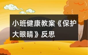 小班健康教案《保護大眼睛》反思