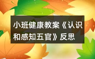 小班健康教案《認識和感知五官》反思