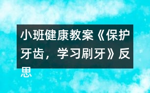 小班健康教案《保護(hù)牙齒，學(xué)習(xí)刷牙》反思