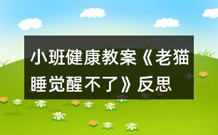 小班健康教案《老貓睡覺醒不了》反思