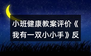 小班健康教案評(píng)價(jià)《我有一雙小小手》反思