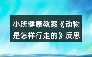 小班健康教案《動(dòng)物是怎樣行走的》反思