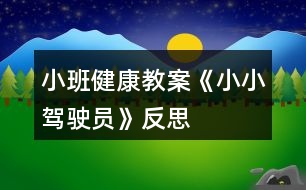 小班健康教案《小小駕駛員》反思