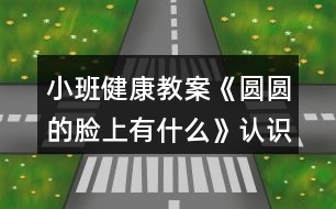 小班健康教案《圓圓的臉上有什么》認(rèn)識(shí)五官反思