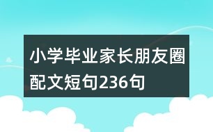 小學(xué)畢業(yè)家長朋友圈配文短句236句