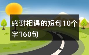 感謝相遇的短句10個字160句