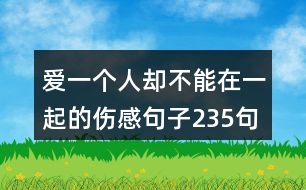 愛一個(gè)人卻不能在一起的傷感句子235句