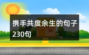 攜手共度余生的句子230句