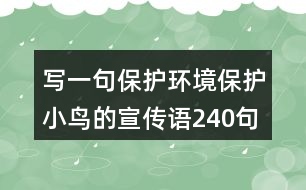 寫一句保護(hù)環(huán)境保護(hù)小鳥的宣傳語240句