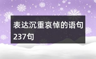 表達沉重哀悼的語句237句